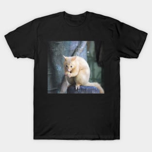 Golden Brushtail Possum T-Shirt